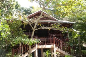 บ้านยกพื้นไทยประยุกต์ล้อมสวนริมชายหาด