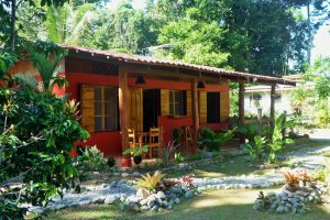 Casa Vida Loca บ้านปูนสีส้มสด ภายในสีสันสดใสมีชีวิตชีวา