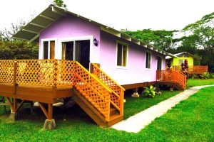 บ้านเคบินสีม่วงลาเวนเดอร์ หวานโรแมนติกในบรรยากาศสดชื่น