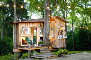 The Fox House บ้านต้นไม้น่ารัก ภายในหวานสดชื่น