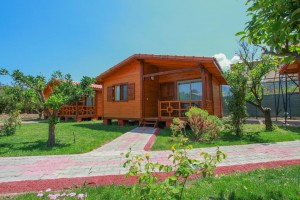 Baris Bungalow บ้านไม้ในสวนริมหาดจากตุรกี