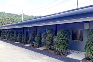 รีวิว ปลูกห้องเช่าชั้นเดียว 10 ห้องนอน 320 ตร.ม. งบประมาณ 1 ล้านบาท
