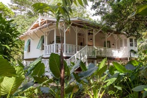 บ้านรีสอร์ทสีขาวแสนสวยในสวนป่า รับไอเย็นจากสวนรอบด้าน
