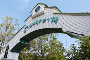 บ้านพฤกษา 14 เอ บางบัวทอง Baan Pruksa 14 A Bangbuathong