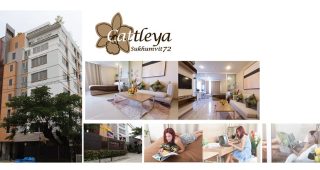 คอนโด แคทลียา สุขุมวิท 72 Cattleya Sukhumvit 72 ใกล้รถไฟฟ้า BTS แบริ่ง