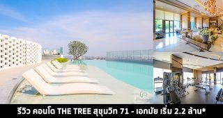 EP.1419 รีวิว คอนโด THE TREE สุขุมวิท 71-เอกมัย ใกล้ Airport Link รามคำแหง และรถไฟฟ้าสายสีส้ม