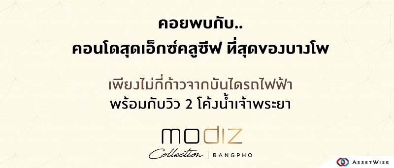 Modiz Collection BangPho