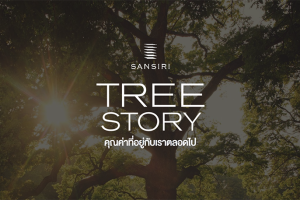แสนสิริ ประกาศจุดยืนรักษ์ต้นไม้ผ่าน Sansiri Tree Story ย้ำภาพตัวจริงในการจัดการพื้นที่สีเขียว และต้นไม้ในธุรกิจอสังหาฯ มากว่า 35 ปี