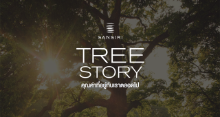 แสนสิริ ประกาศจุดยืนรักษ์ต้นไม้ผ่าน Sansiri Tree Story ย้ำภาพตัวจริงในการจัดการพื้นที่สีเขียว และต้นไม้ในธุรกิจอสังหาฯ มากว่า 35 ปี