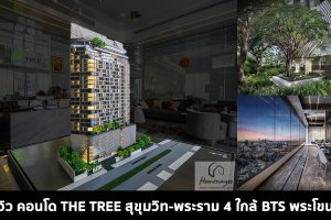 EP.1556 รีวิว คอนโด THE TREE สุขุมวิท-พระราม 4 คอนโดติดถนนพระราม 4 ใกล้ทางด่วนเฉลิมมหานคร และ BTS พระโขนง