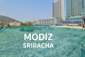 คอนโด โมดิซ ศรีราชา Modiz Sriracha ติดถนนสุขุมวิท ตรงข้าม ม.เกษตรศาสตร์ ศรีราชา