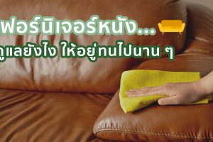 เฟอร์นิเจอร์หนัง ดูแลยังไง ให้อยู่ทนไปนาน ๆ