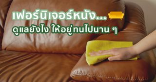 เฟอร์นิเจอร์หนัง ดูแลยังไง ให้อยู่ทนไปนาน ๆ