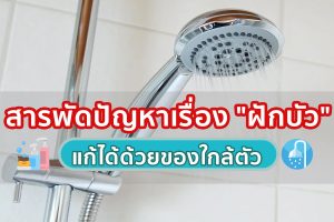 สารพัดปัญหาเรื่อง