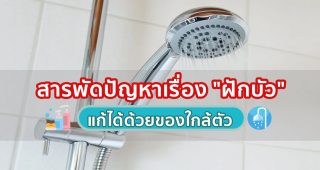 สารพัดปัญหาเรื่อง
