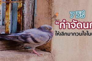 7 วิธี