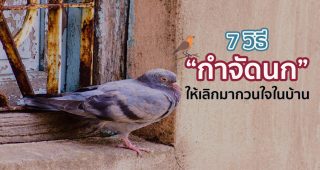 7 วิธี