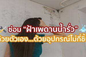ซ่อมฝ้าเพดานน้ำรั่ว ด้วยตัวเอง ด้วยอุปกรณ์ไม่กี่ชิ้น