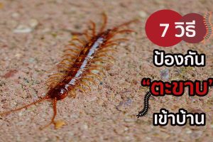 7 วิธี ป้องกัน