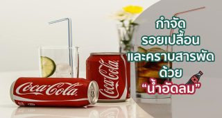 กำจัดรอยเปลื้อนและคราบสารพัด
