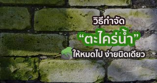 วิธีกำจัด