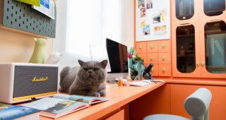 Supalai ดึงโมเดล PET FRIENDLY COMMUNITY สร้างสรรค์พื้นที่ใหม่สุดชิค ตอบโจทย์ PET LOVERS