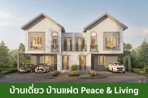 บ้านเดี่ยว บ้านแฝด พีซแอนด์ลีฟวิ่ง Peace & Living 2025 / 2568