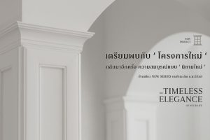 อภิทาวน์ ขอนแก่น 2 Apitown Khon Kaen 2 บ้านเดี่ยวโครงการใหม่ สไตล์ Neo Classic บนทำเล ติด ถ.มะลิวัลย์ จาก AP