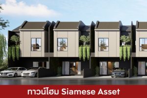ทาวน์โฮม ไซมิส แอสเสท Siamese Asset 2025 / 2568