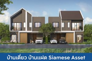 บ้านเดี่ยว บ้านแฝด ไซมิส แอสเสท Siamese Asset 2025 / 2568