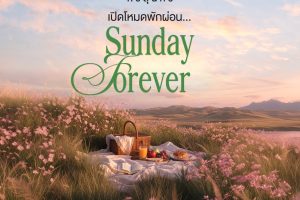 ศุภาลัย ปาล์มวิลล์ ศรีสุนทร Supalai Palm Ville Srisunthon โครงการบ้านภูเก็ตใหม่ พบกันเร็ว ๆ นี้